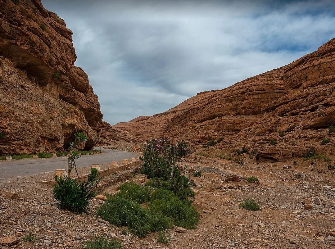 Travelers walking between soaring canyon walls in Todra Gorges