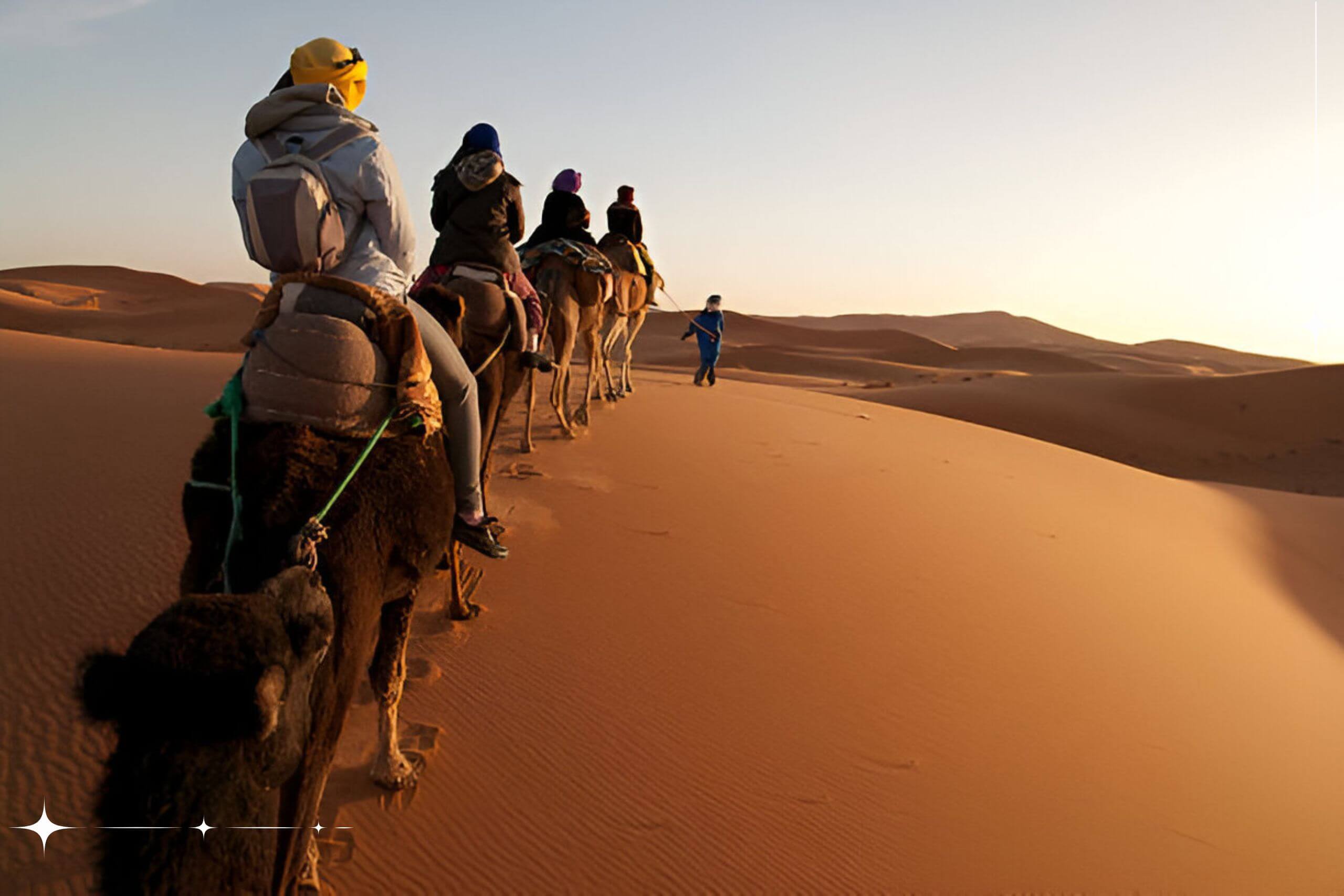 Activités sandboarding sur les dunes dorées du désert Merzouga