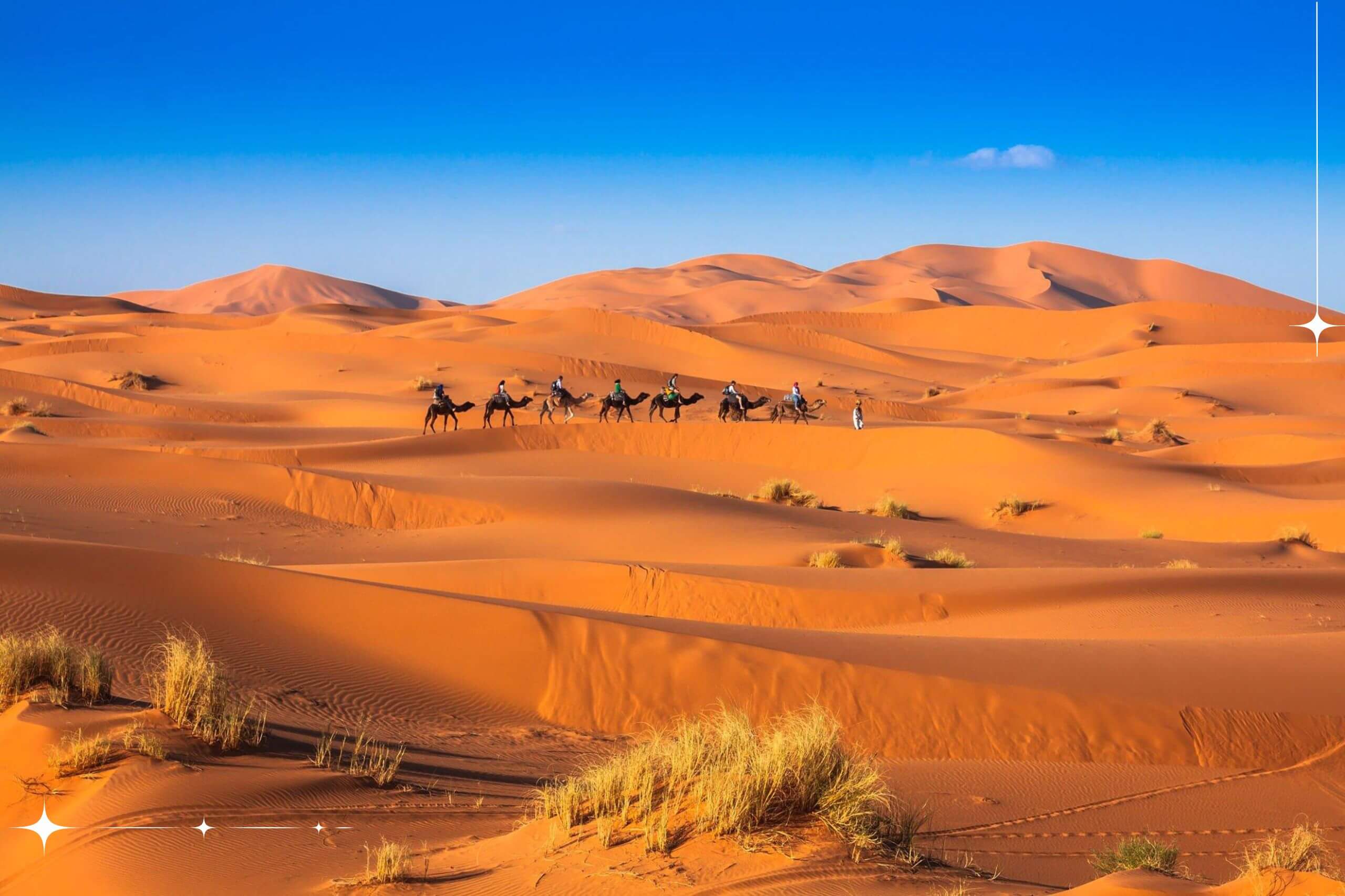 Bivouac traditionnel berbère dans l'Erg Chebbi avec tentes nomades