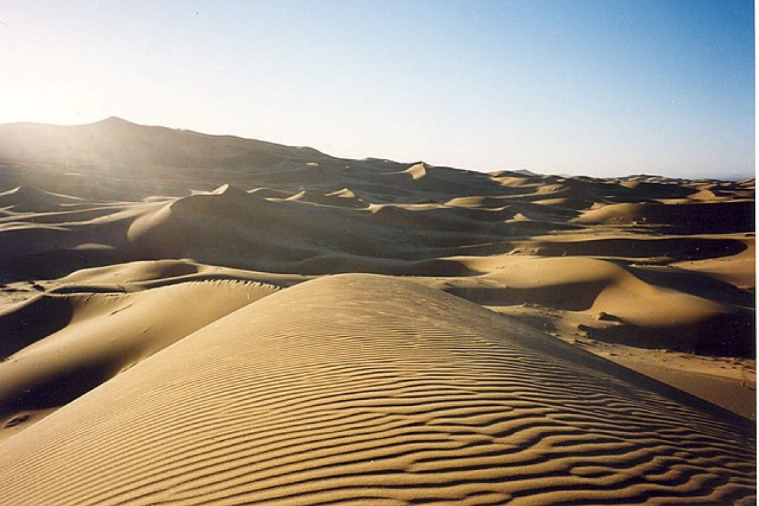Pourquoi choisir le désert de Merzouga