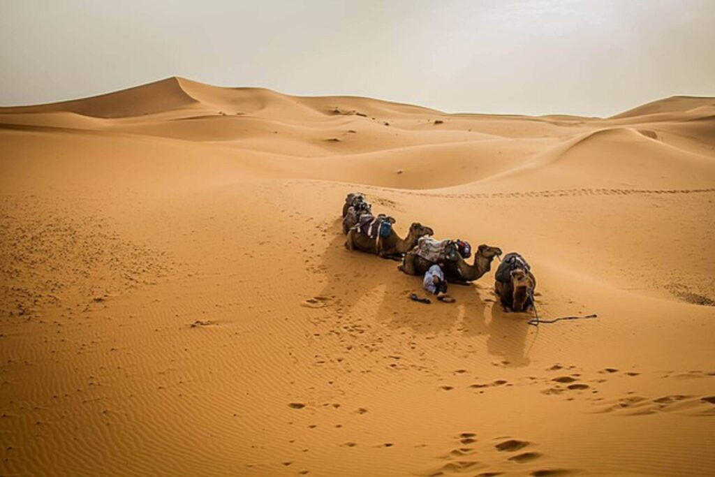 Guide complet du Maroc touristique