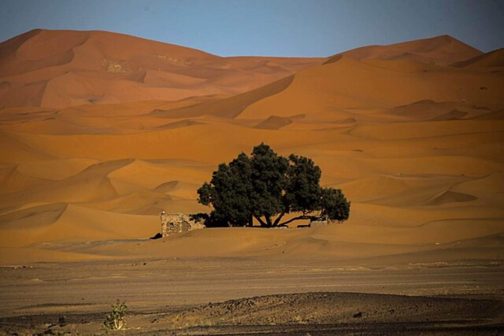 Quand visiter Merzouga ? Guide des températures, meilleures périodes et conseils pratiques pour un voyage réussi dans le désert du Sahara marocain.