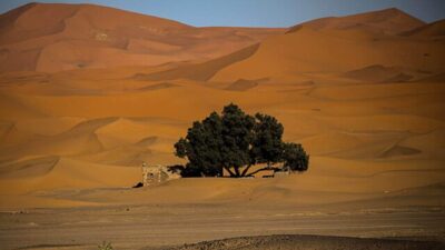 Quand visiter Merzouga ? Guide des températures, meilleures périodes et conseils pratiques pour un voyage réussi dans le désert du Sahara marocain.