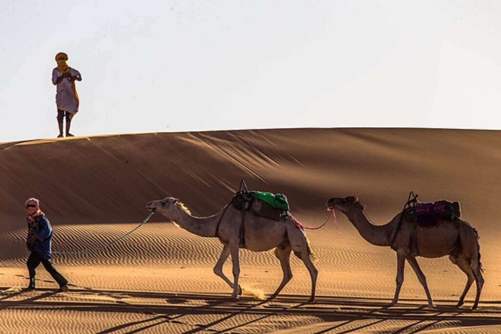 Circuit 3 jours dans le désert de merzouga