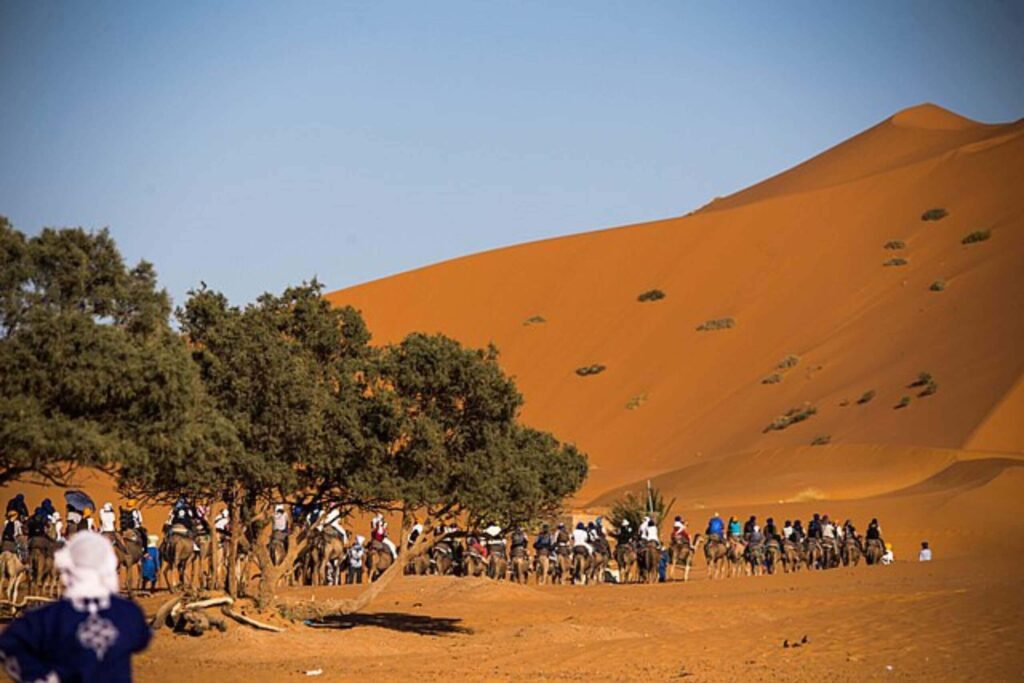 choisir un camp à merzouga