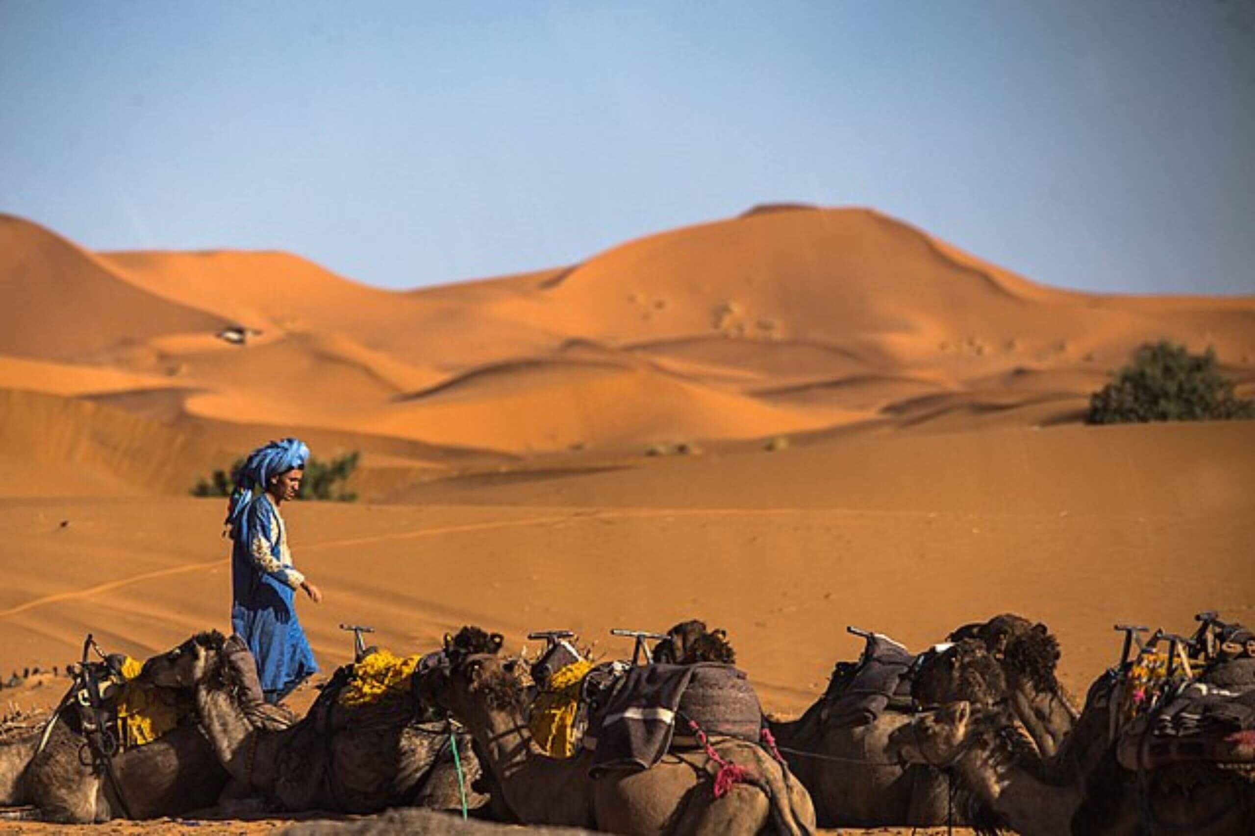 Merzouga : Le Joyau Caché du Désert Marocain