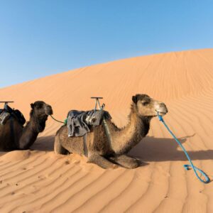 Ambiance du soir autour du feu dans un camping nomade à Merzouga