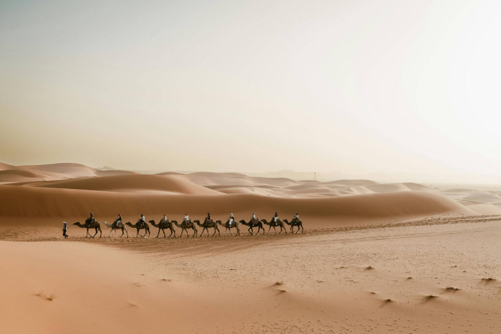 Balade Chameau dans le vaste désert de Merzouga