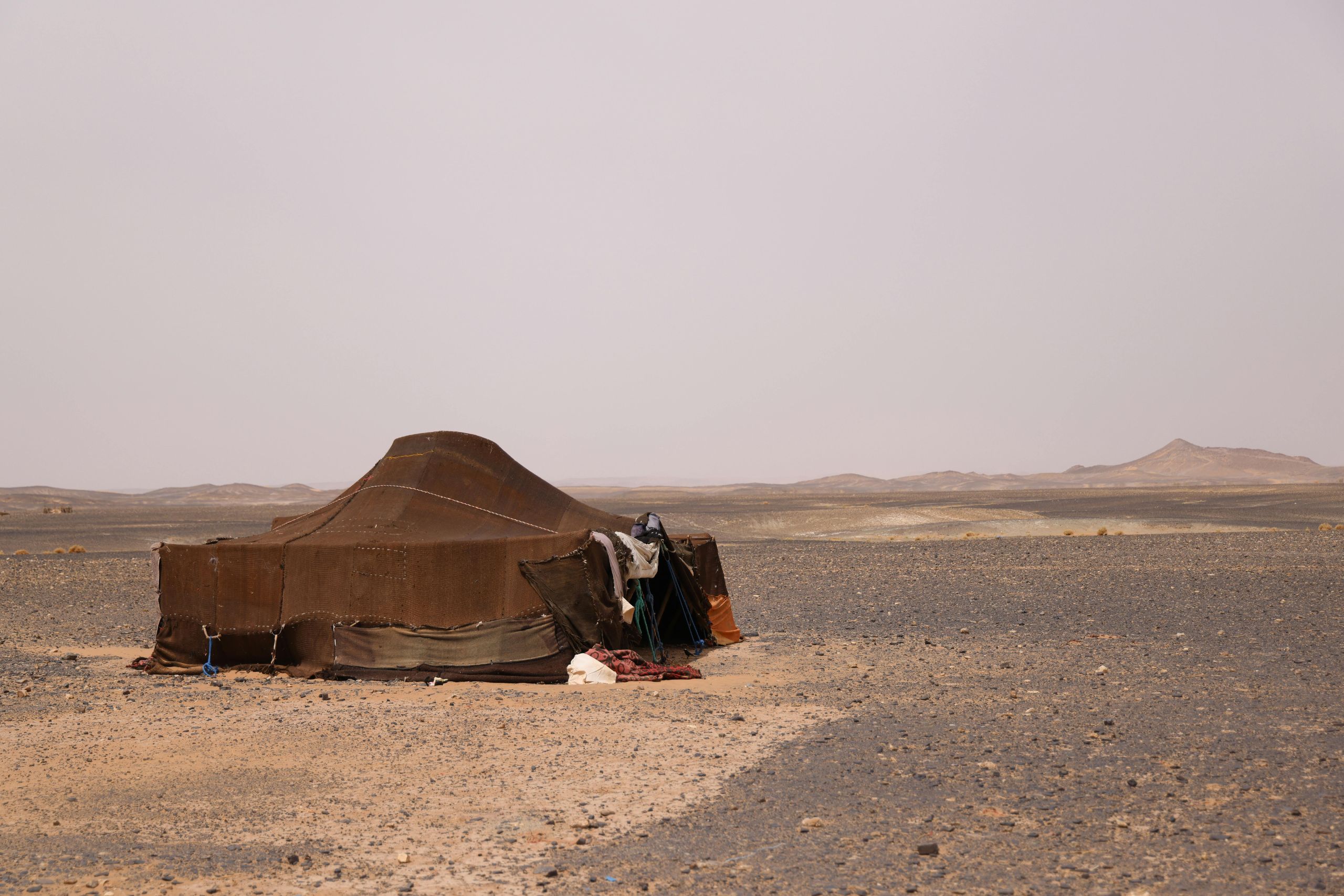 Bivouac Désert MErzouga
