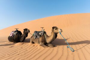 Désert de Merzouga