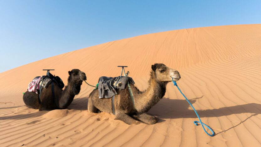 Désert de Merzouga