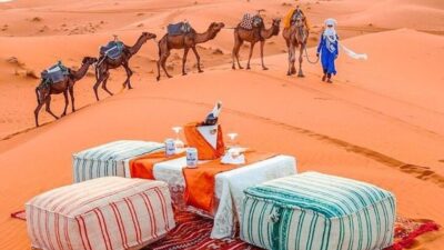 Dromadaire Merzouga