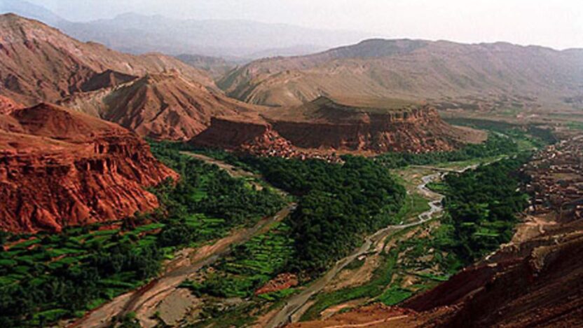Paysage fleuri au printemps dans la vallée des roses au Maroc