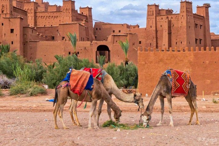 Traversée de l'oued saisonnier vers l'entrée du ksar Aït Benhaddou, pont d'accès au site historique